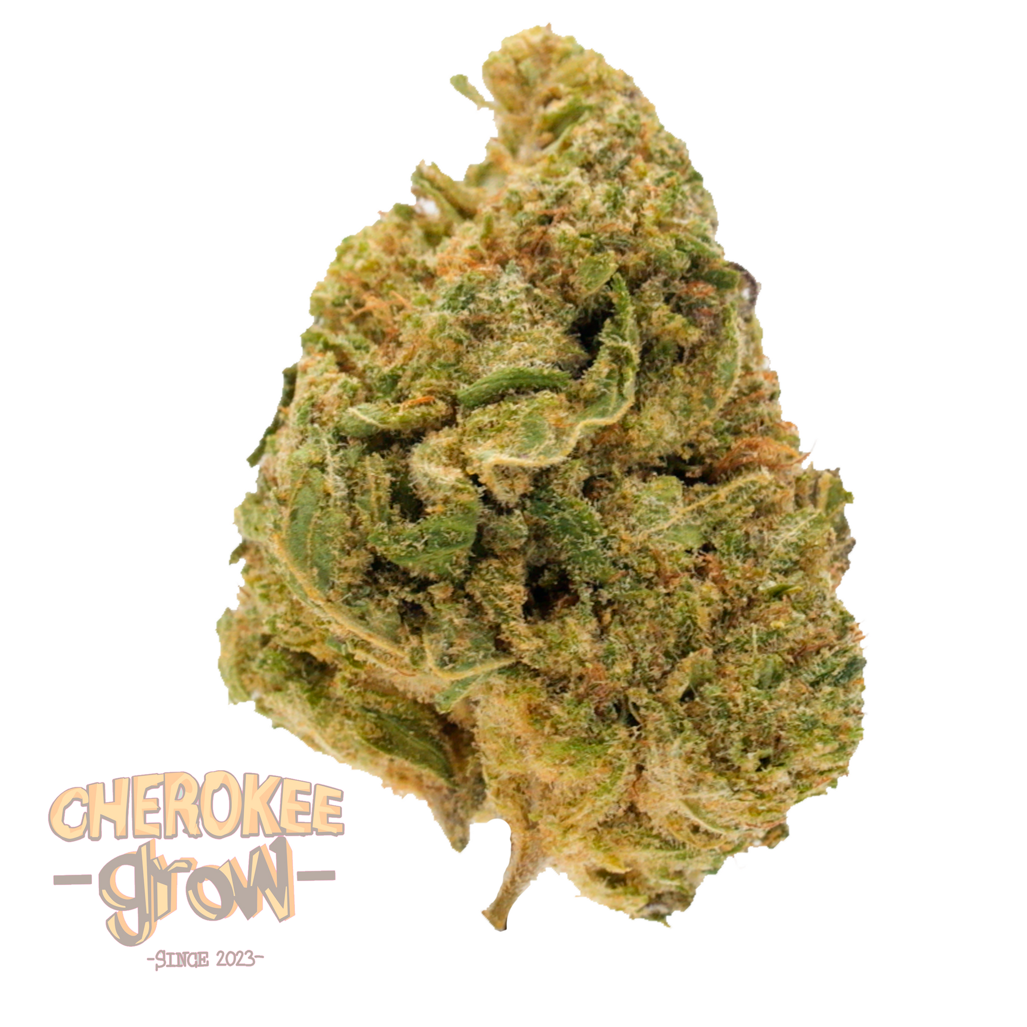 OH-10-HHC BUBBLEGUM HYDRO