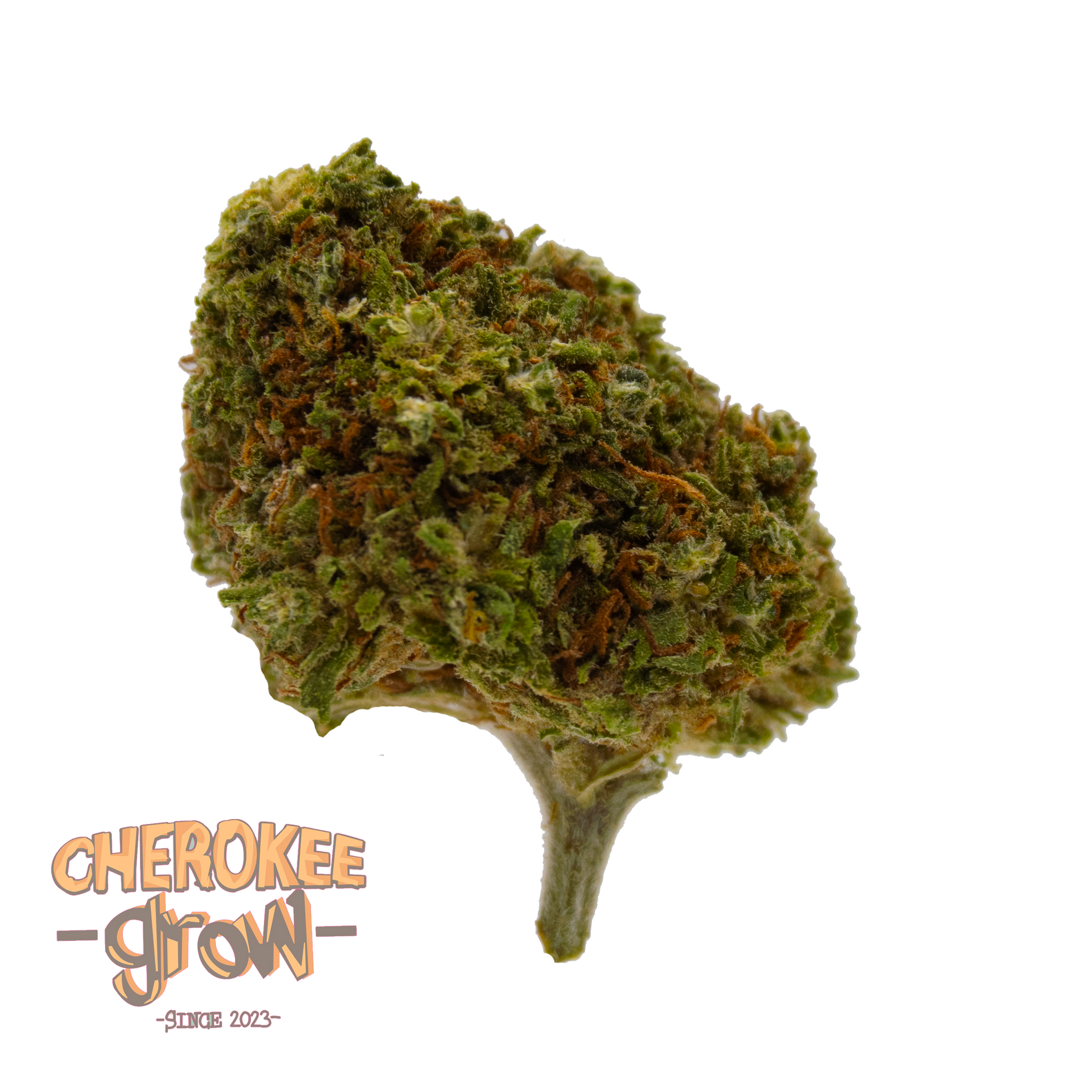 CHEROWEED BLUEBERRY INTERIOR