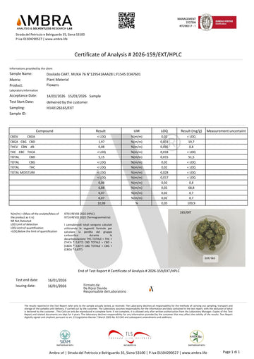 HHX DOSILADO INTERIOR