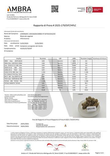 HHX LEMONADE INTERIOR