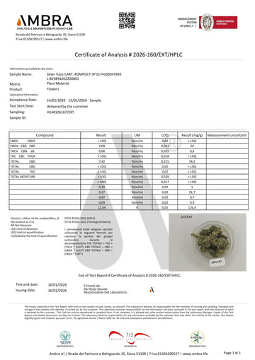 HHX SILVER HAZE HYDROPÓNICO
